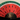 The Habibi Fan — Watermelon, wide styled view
