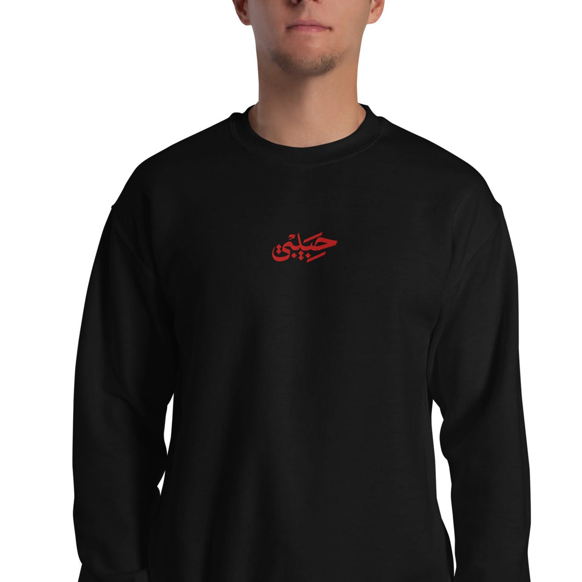 Habibi / حبيبي Logo Sweatshirt, black front