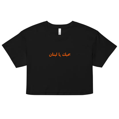 Fairuz - recadrer